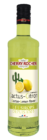 cactus lemon syrup